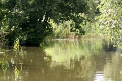 Killikus&reg; Fotographie